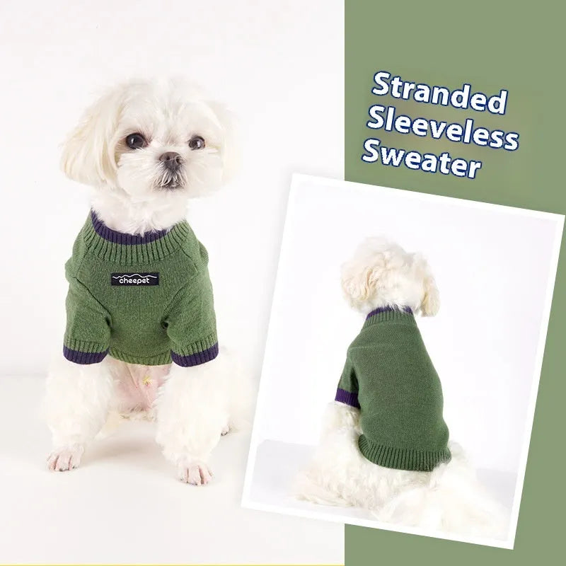 British style wool pet sweater with contrast colour legs in Crown Blue
