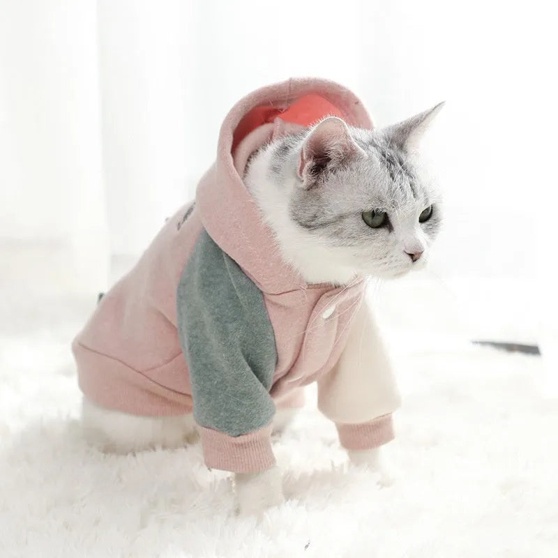 Brown cotton pet dog sweatshirt shown in size M with pullover design