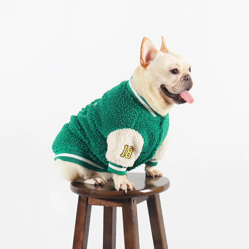 Green fleece-lined dog winter coat shown on model dog