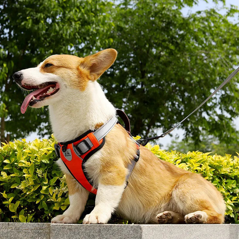 Adjustable dog vest with chest strap and hand-holding rope in multiple colour options