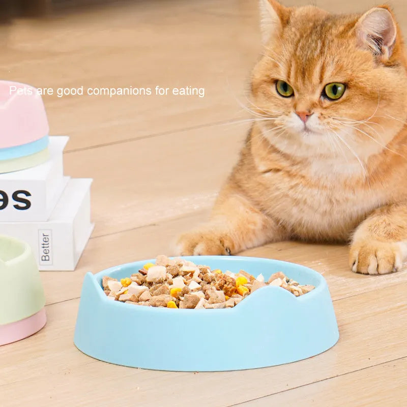Ceramic dog slow feeder puzzle bowl in blue, green or pink colours for small medium large breed puppies