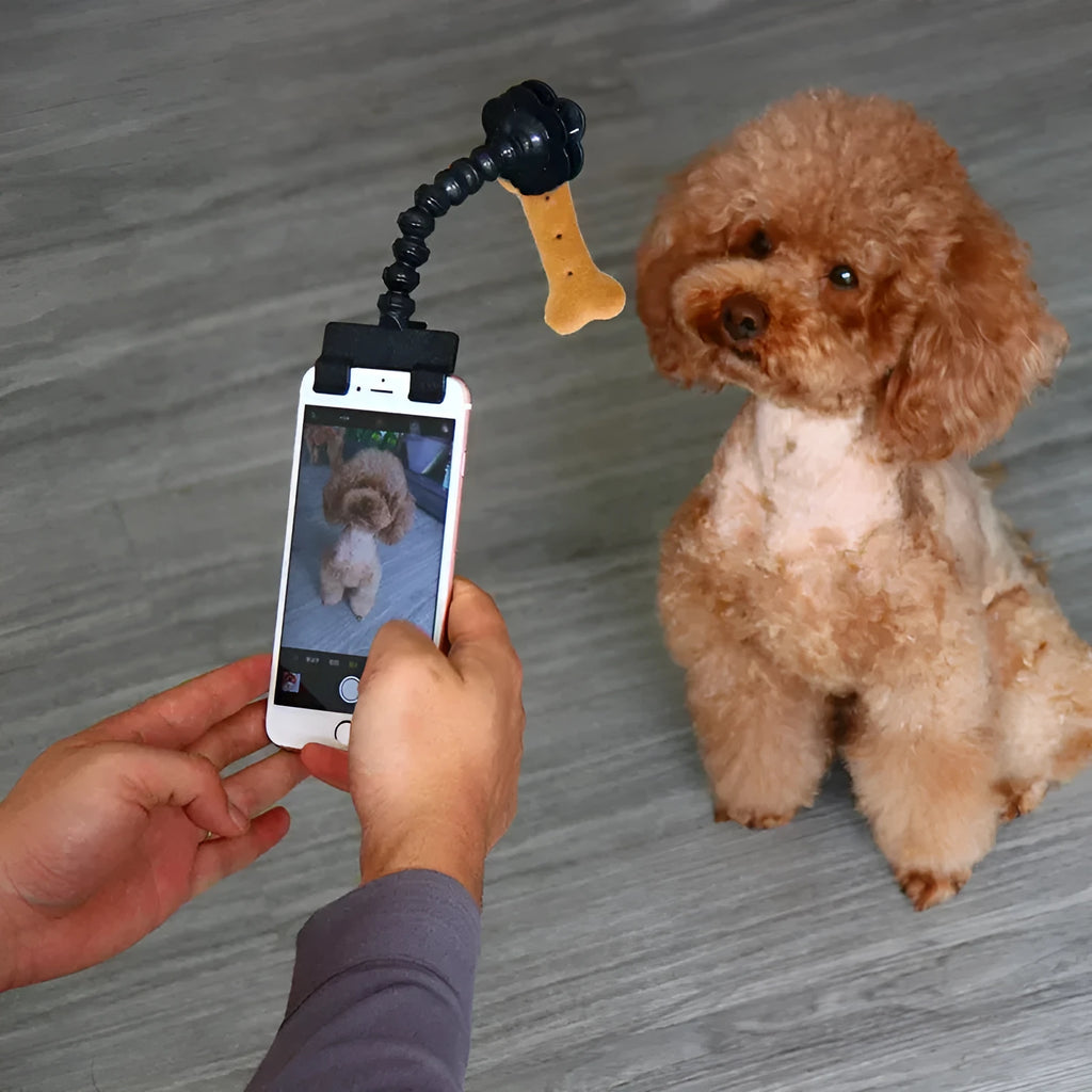 Black plastic pet photography mobile phone holder with treat clip and 360° rotation mechanism