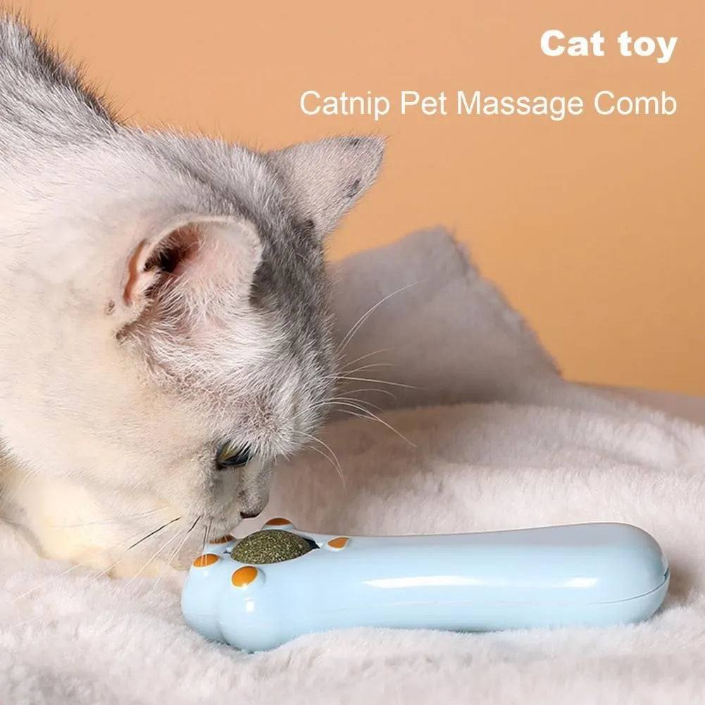 Cartoon-style dual-purpose cat toy showing massage comb attached to a catnip compartment with a dust-proof cover