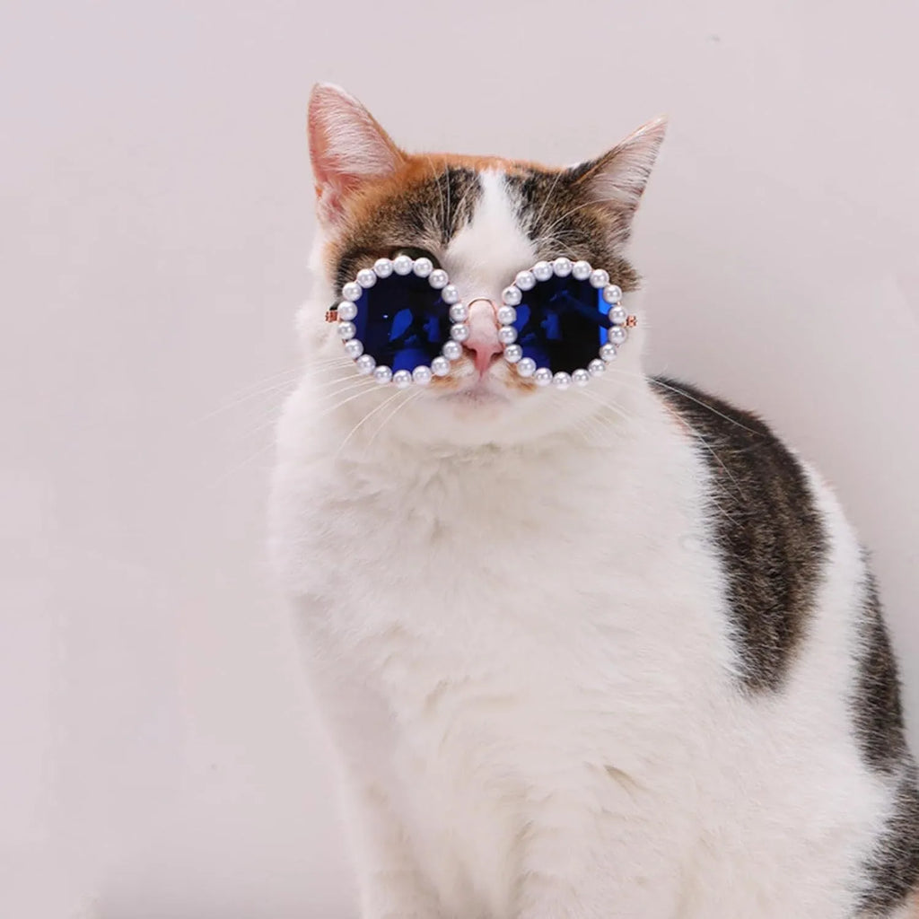 Round pearl-rimmed sunglasses for a dog or cat costume, shown in multiple colours.