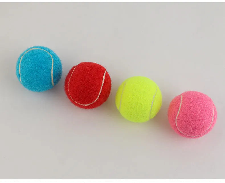 Rubber tennis ball dog toy in multiple colours with 6.3cm diameter for bite-resistant fetch games