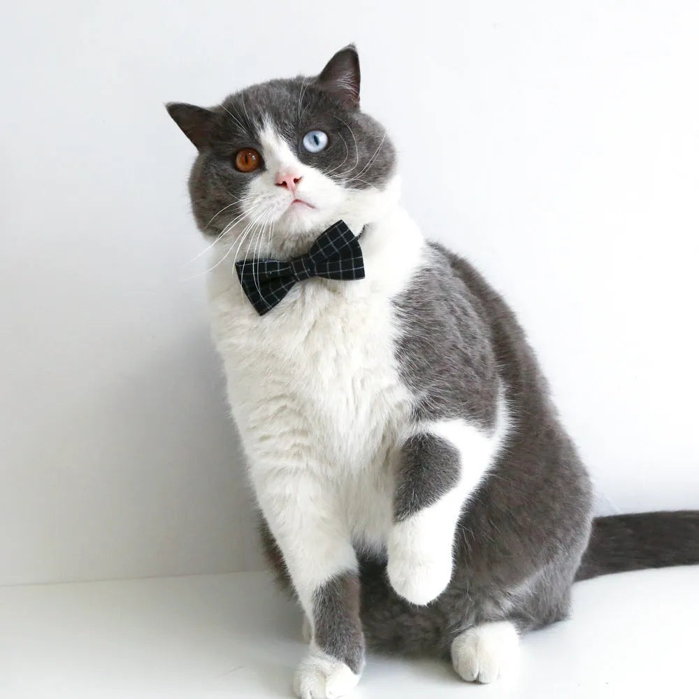British style pet hair band and matching bow tie set on a model, shown in yellow, red, green, and black plaid options.