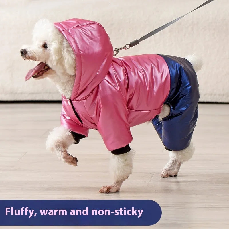 Green waterproof cotton-padded dog coat with four-legged design on medium-sized dog outdoors