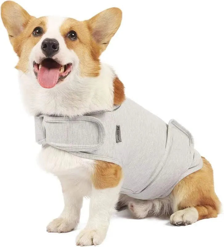 Brown dog anxiety relief tank top made from cotton jersey fabric on a medium-sized dog