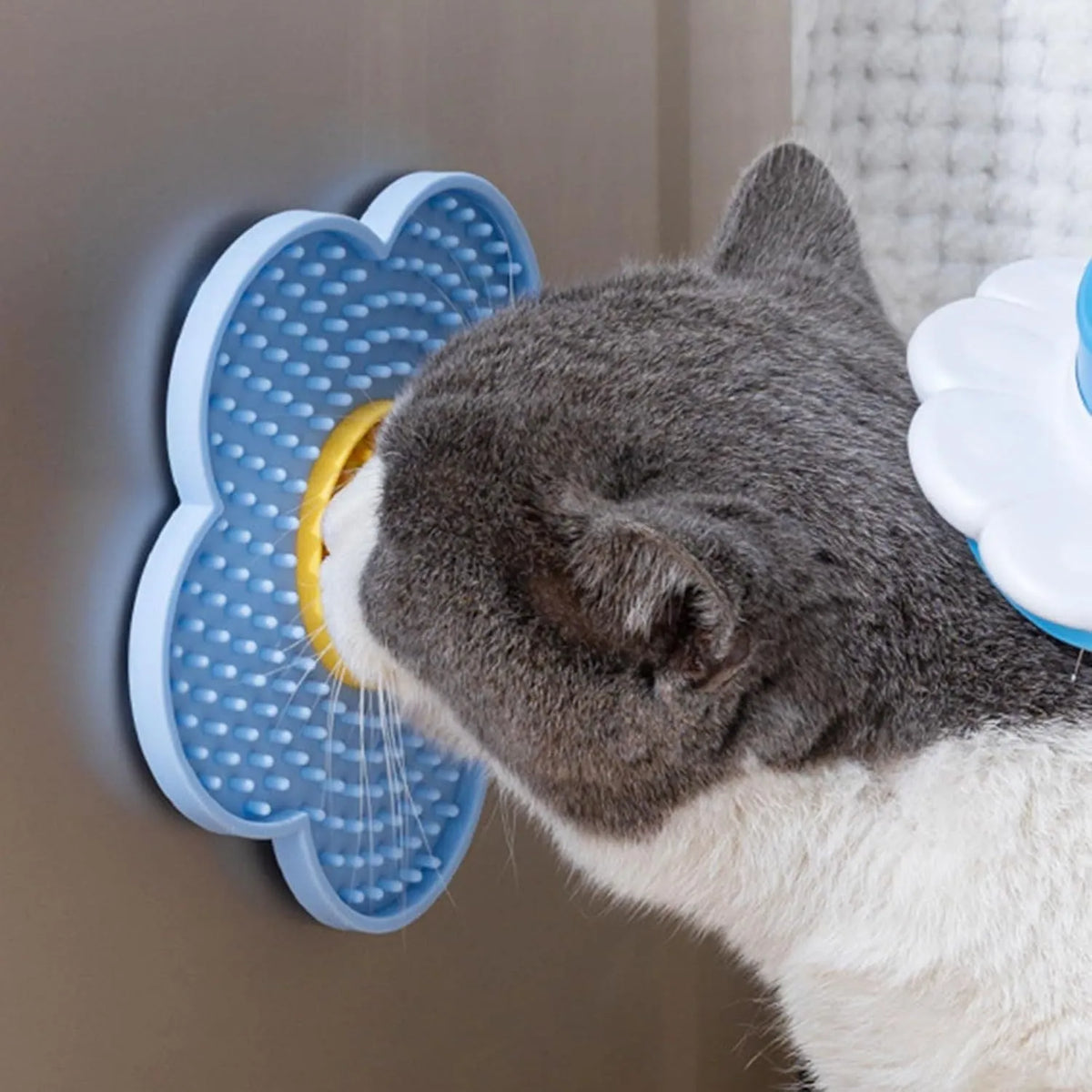 Flower-shaped silicone licking mat for dogs and cats with suction cups on the back.