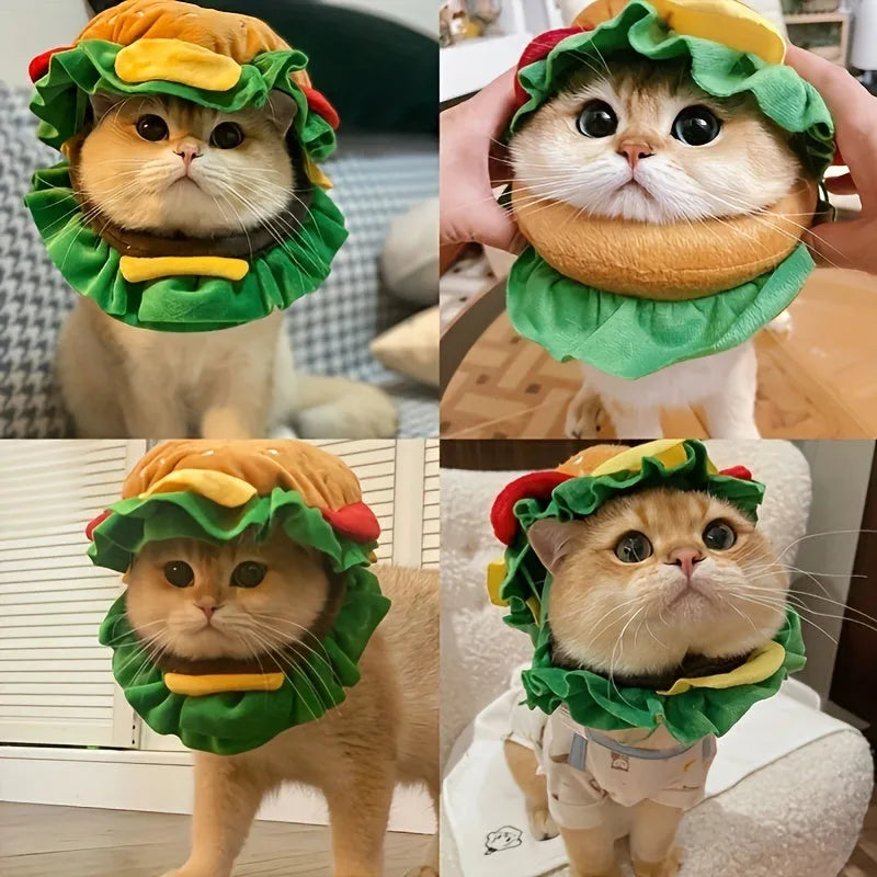 Cartoon burger-shaped headdress with cat cone silhouette on a feline, showing adjustable neck strap.