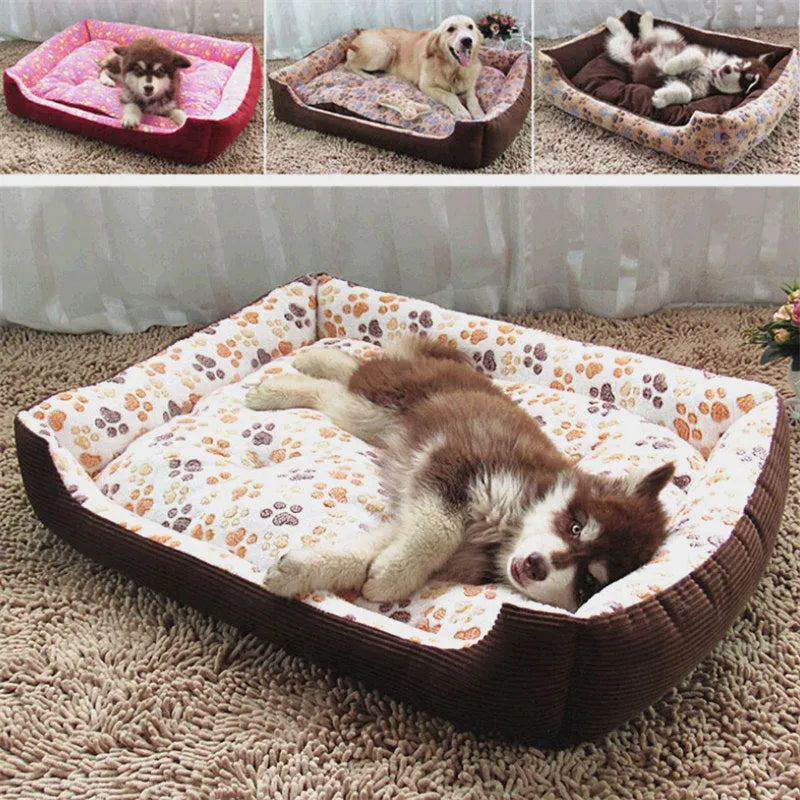 Beige plush pet bed with raised sofa-style edge and removable cushion for small dogs