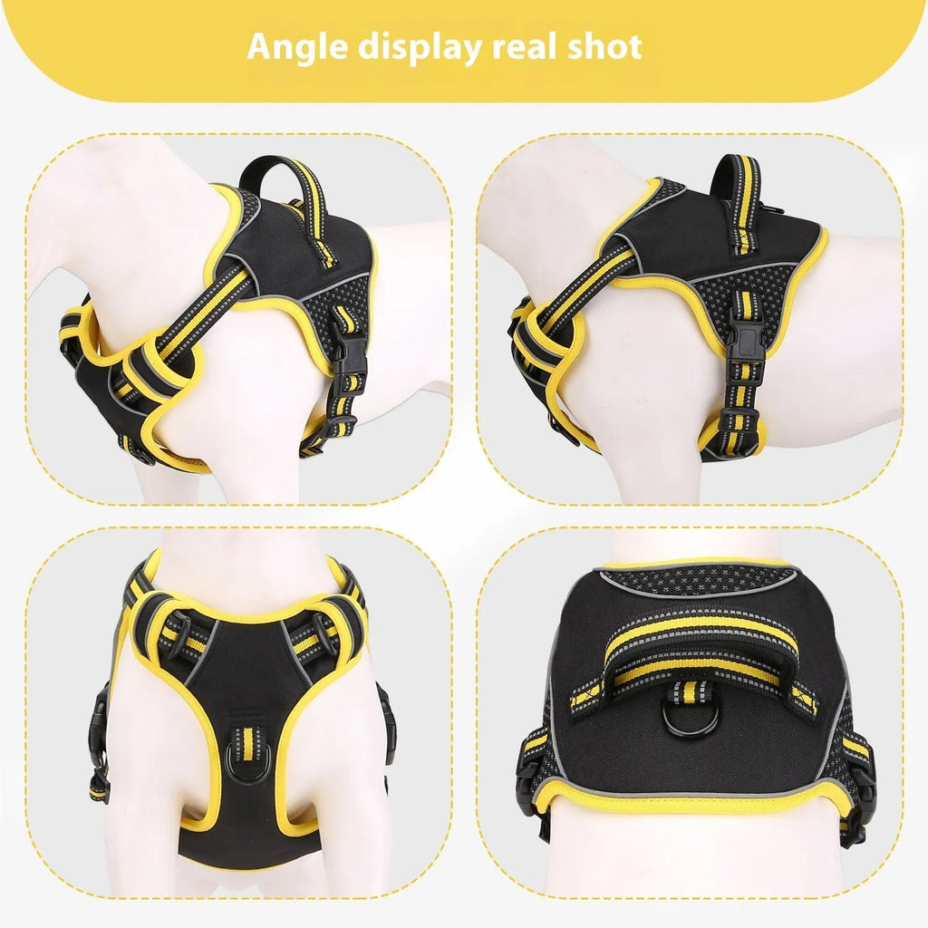 Yellow and orange polyester dog harness and lead set shown in three sizes: small, medium, and large.