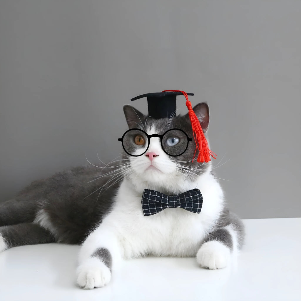 British style pet hair band and matching bow tie set on a model, shown in yellow, red, green, and black plaid options.