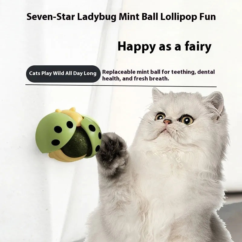 Ladybird catnip ball toy in ABS for cat licking and molar play, shown in black and red colourway