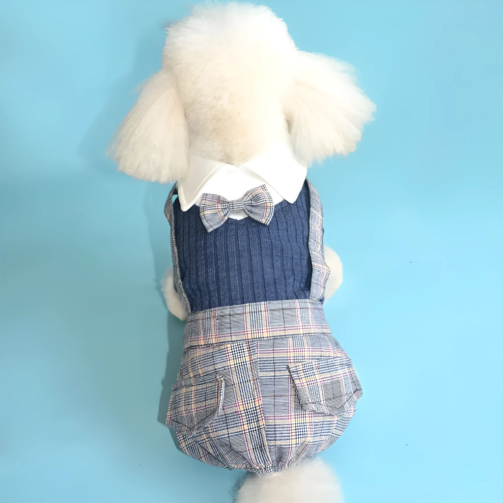 A small dog wearing a dark blue cotton shirt, showing the standard shirt fit on a pet.