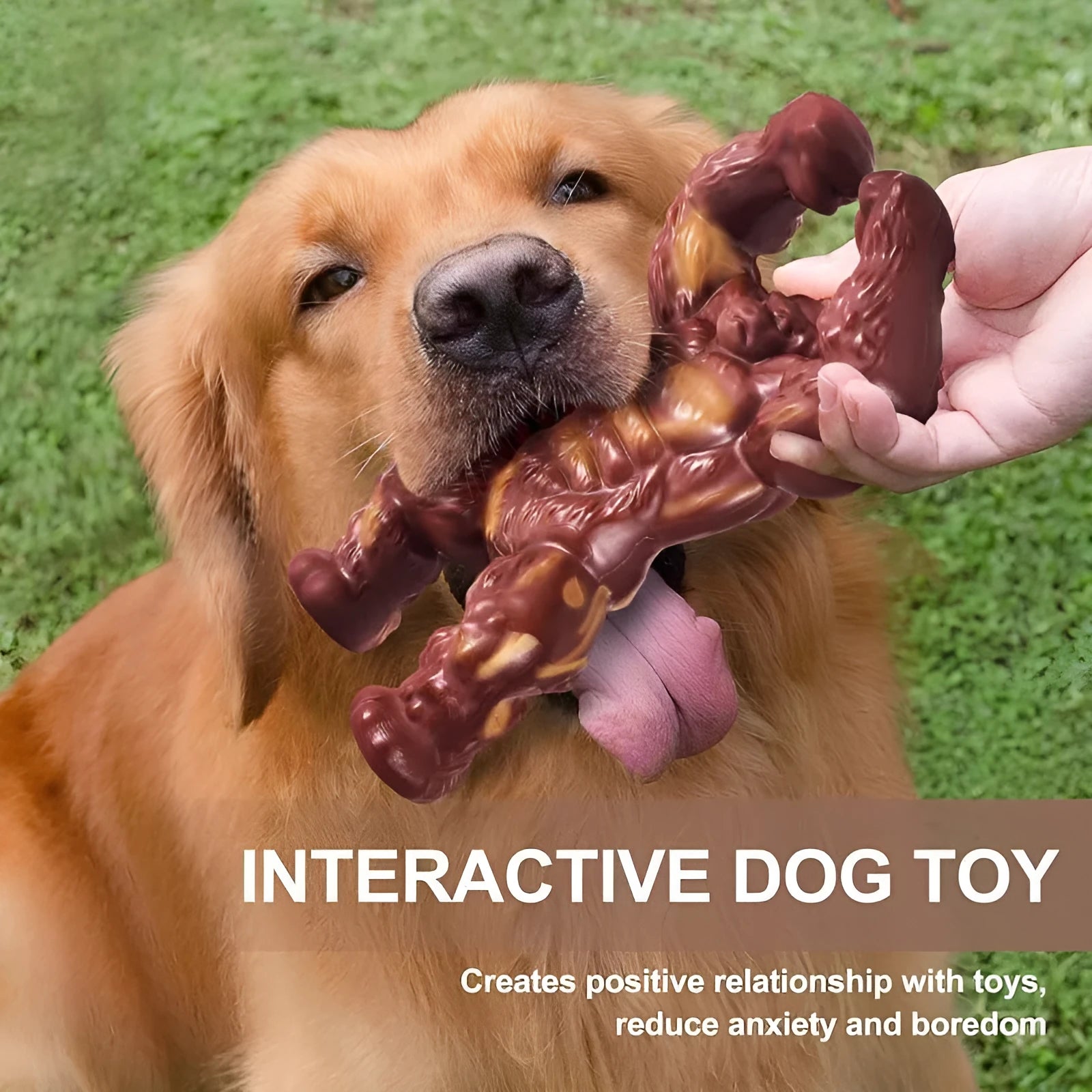 Scarlet red nylon dog molar nibbling toy with beef flavour scent for dental cleaning