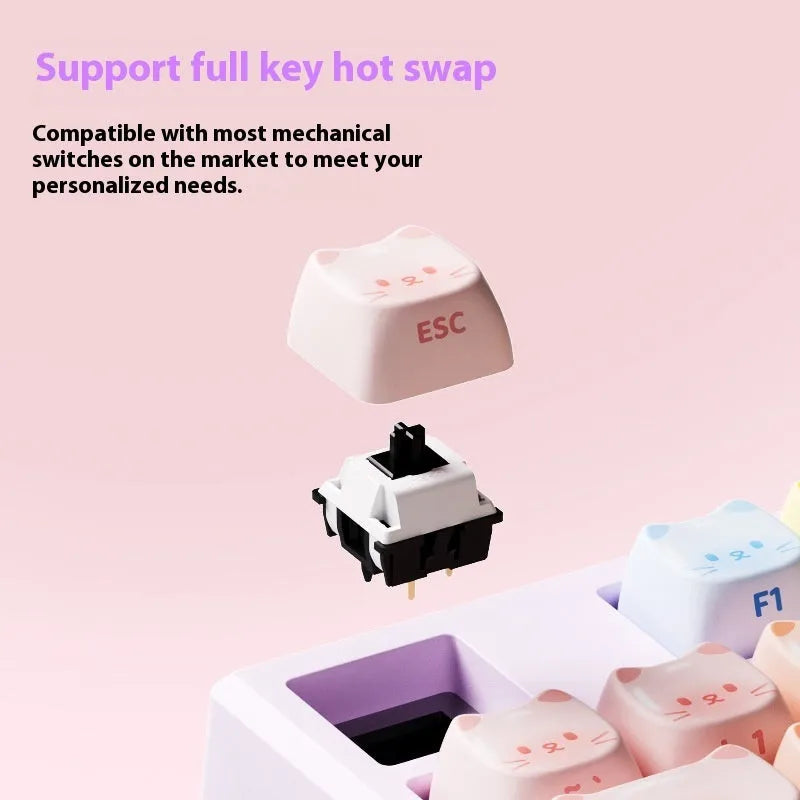 Bluetooth mechanical keyboard with coloured sugar cat themed keycaps in MG108B colour scheme
