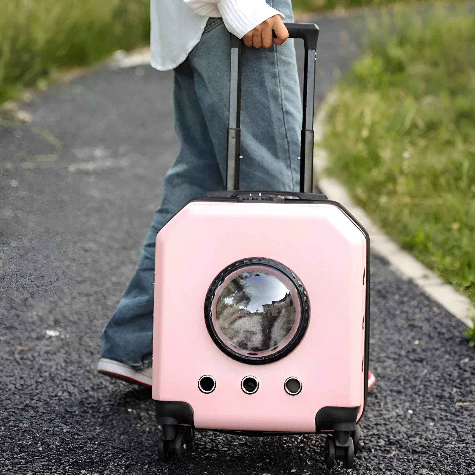 PVC hard shell pet flight case in orange colour with trolley wheels and luggage compartment
