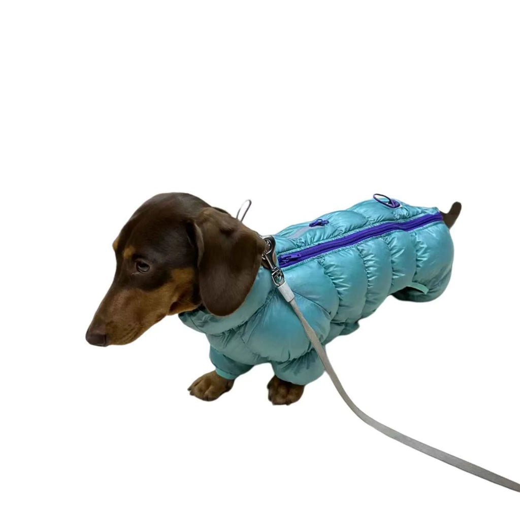 Blue four-legged pet thermal cotton coat with S to XXL size options for autumn and winter