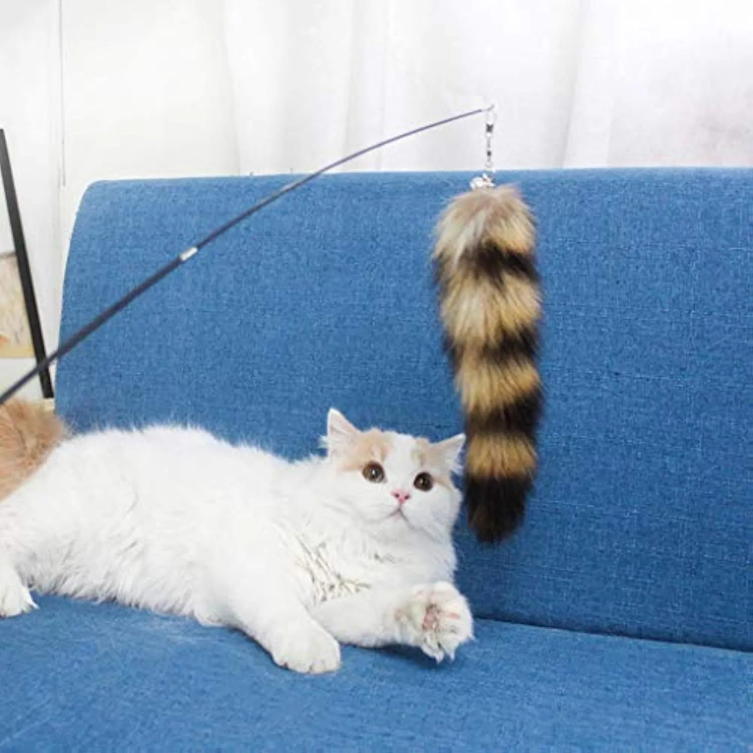 Black cat toy wand with feather attachment and long elastic string for interactive play