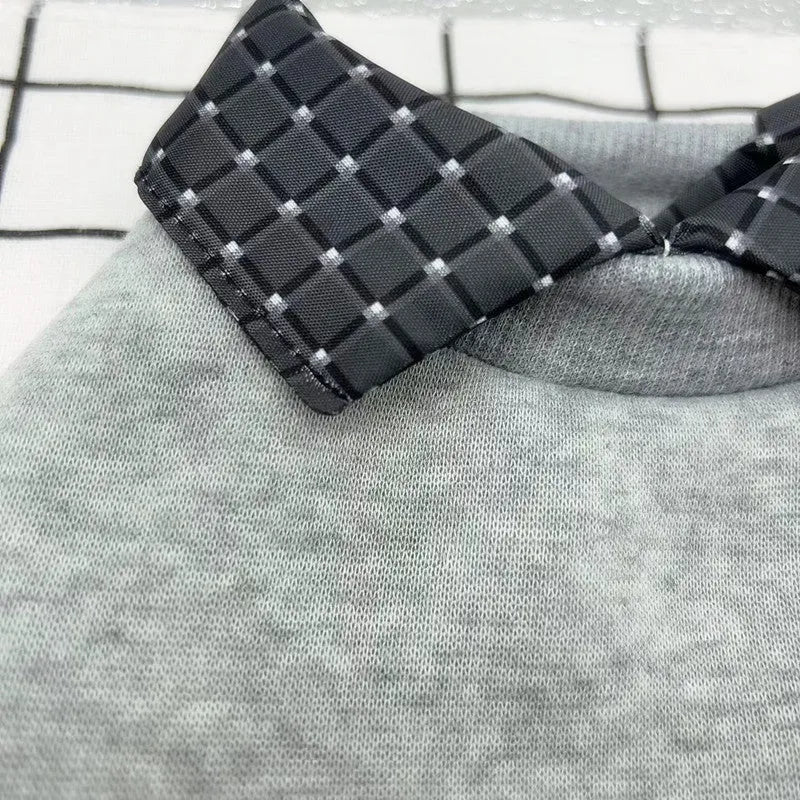 Grey dog wearing thin velvet sweater with detachable collar hoodie