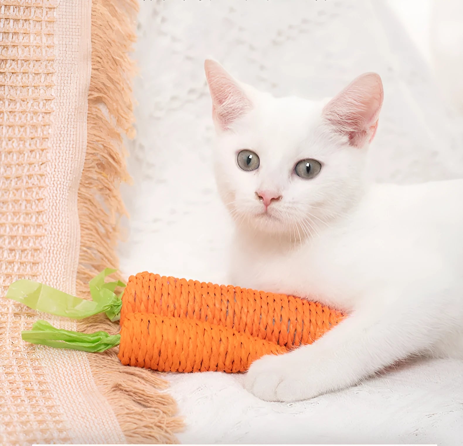 Interactive cat toys set with carrot-shaped bites, paper rolls, ringing stones, feather sticks, and dental grinding sticks
