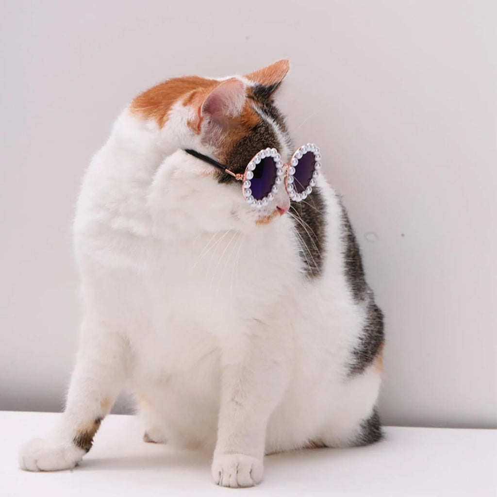 Round pearl-rimmed sunglasses for a dog or cat costume, shown in multiple colours.