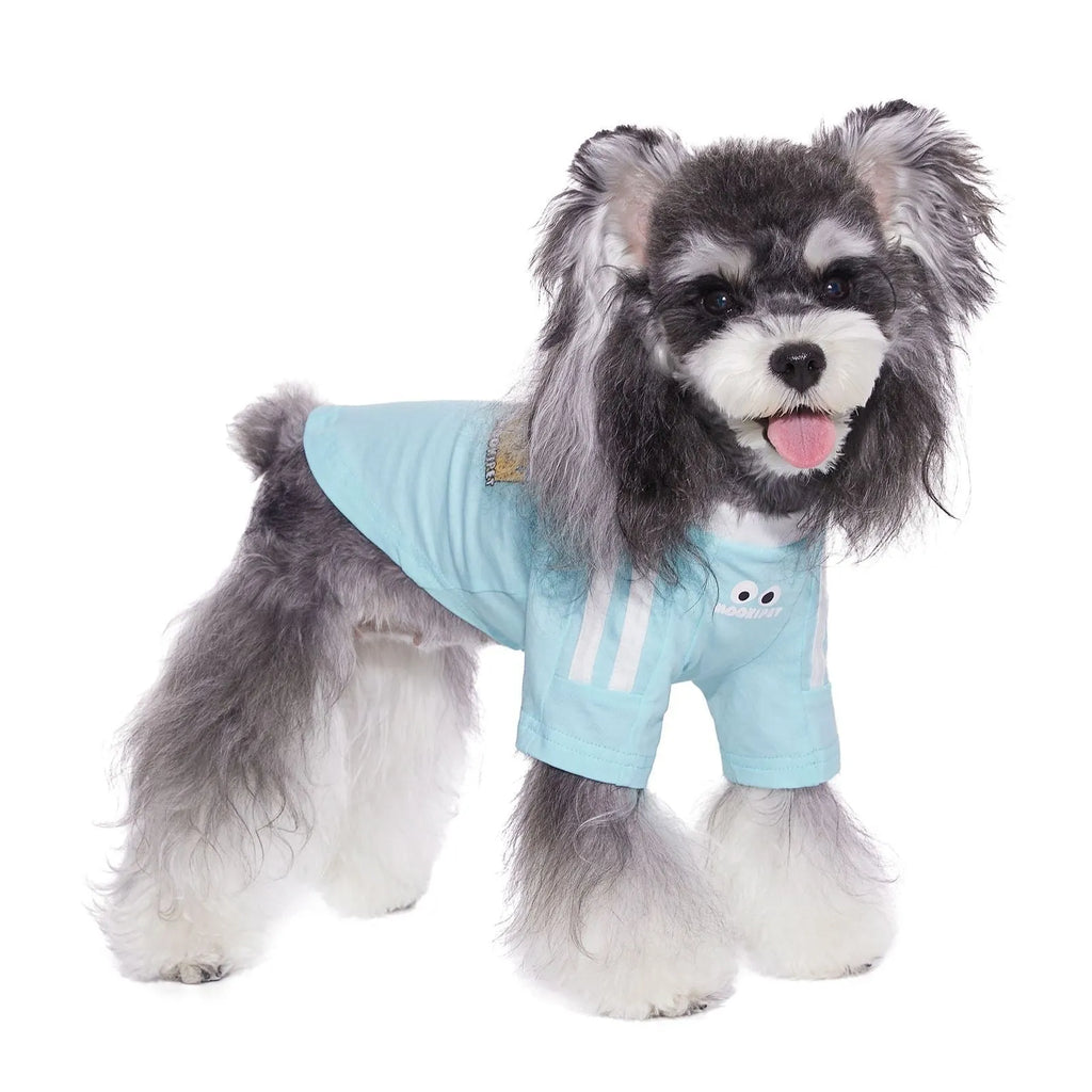 Thin pink or blue pet clothing for Schnauzers, small dogs and cats, 95% cotton 5% spandex, sizes XXS to XXL