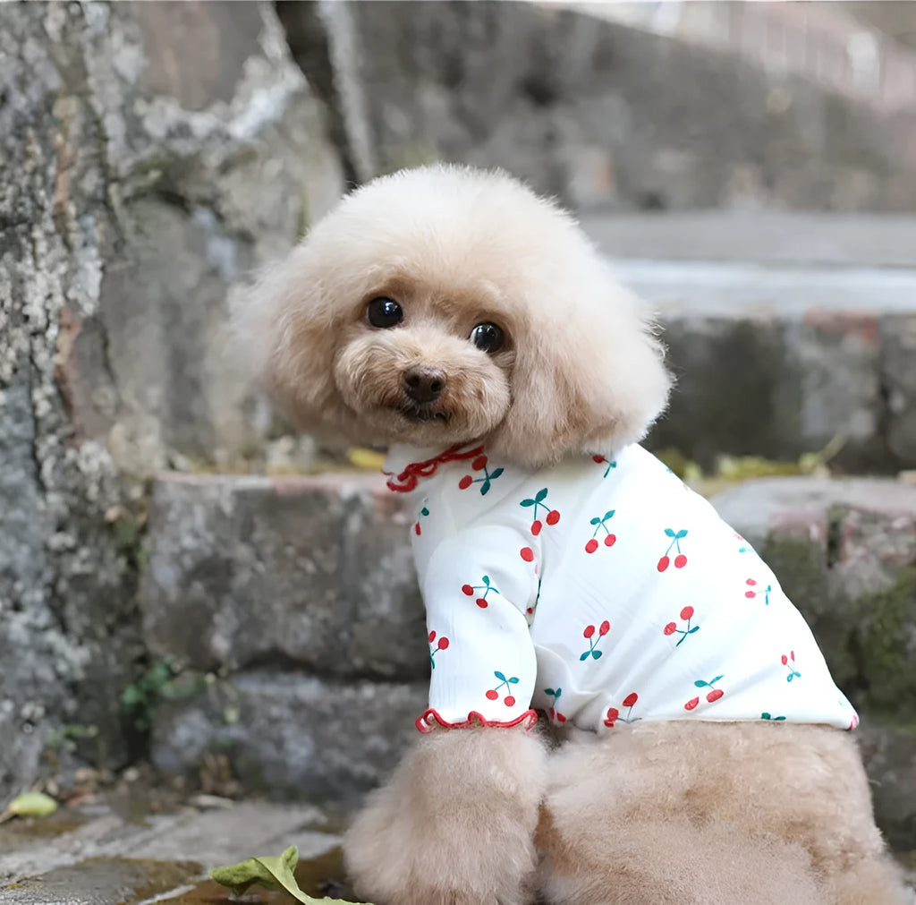 Cotton cherry print wavy edge lapel dog top in blue, white, or pink, two-legged pet clothing