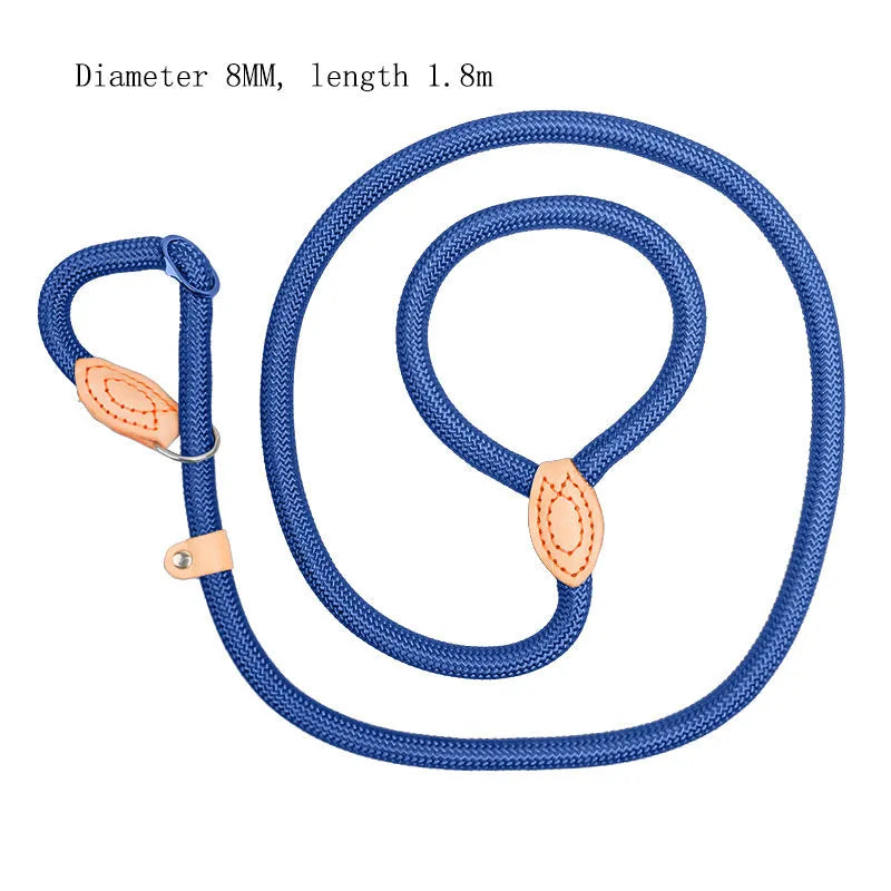 Blast race training 4-in-1 dog leash and automatically tightening collar set in multiple colour options
