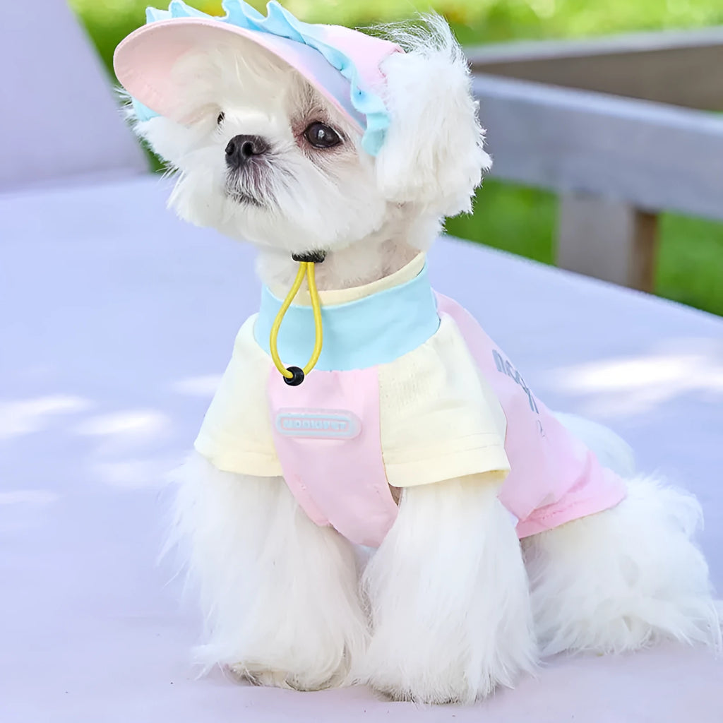Pink casual summer dog hat with exposed ears for small dogs Bichon Schnauzer nylon spandex