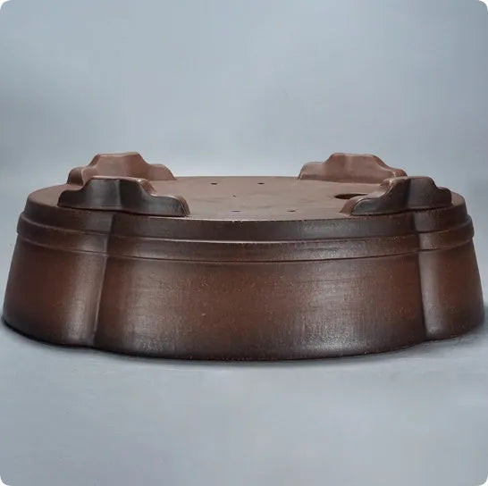Classical purple clay bonsai pot with green plant old pile design measuring 50cm long