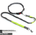 Grey and red reflective elastic dog leash for outdoor running held in a person's hand.