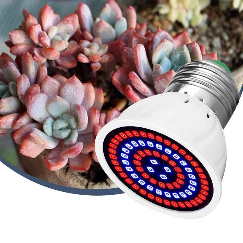 White LED plant grow light with 80 beads for indoor potted plant illumination