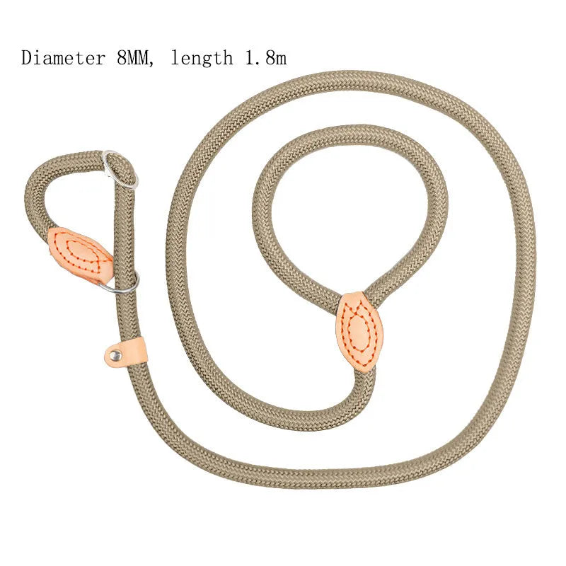 Blast race training 4-in-1 dog leash and automatically tightening collar set in multiple colour options