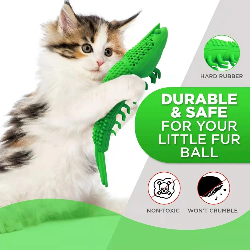 Blue hard rubber catnip toy with dental cleaning texture and bell inside