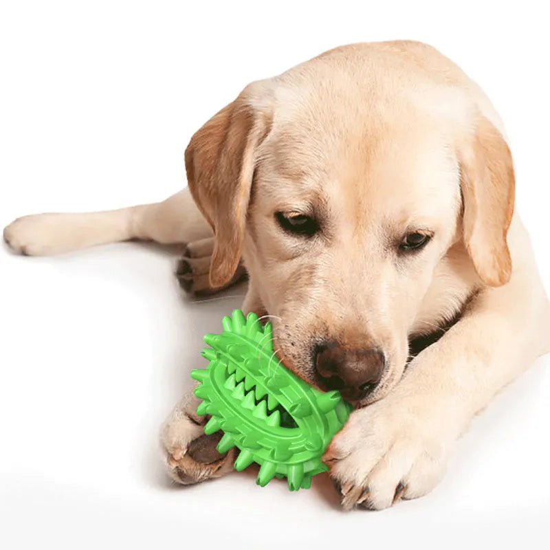 Green cactus-shaped dog chew toy with bumps and a central channel for dental care
