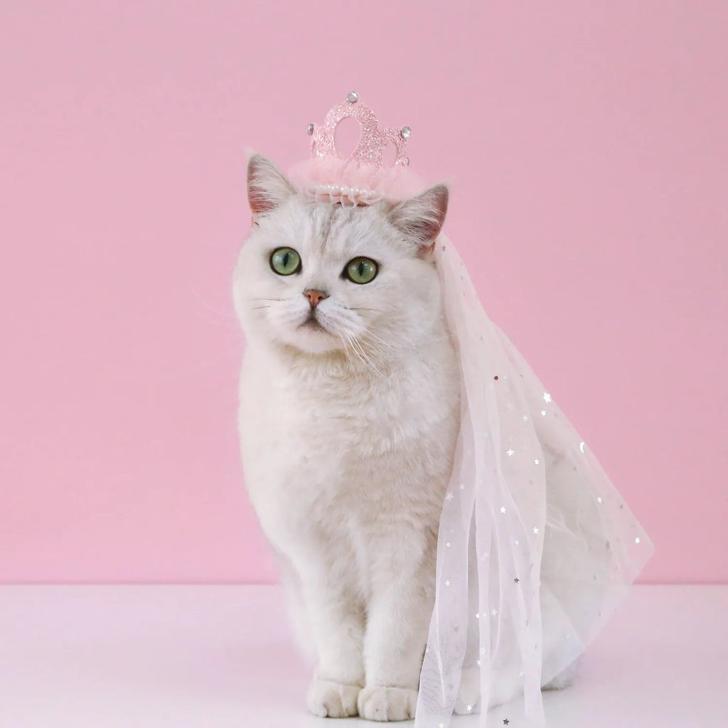 Beige and pink princess crown headdress with veil for cats on a plain background.