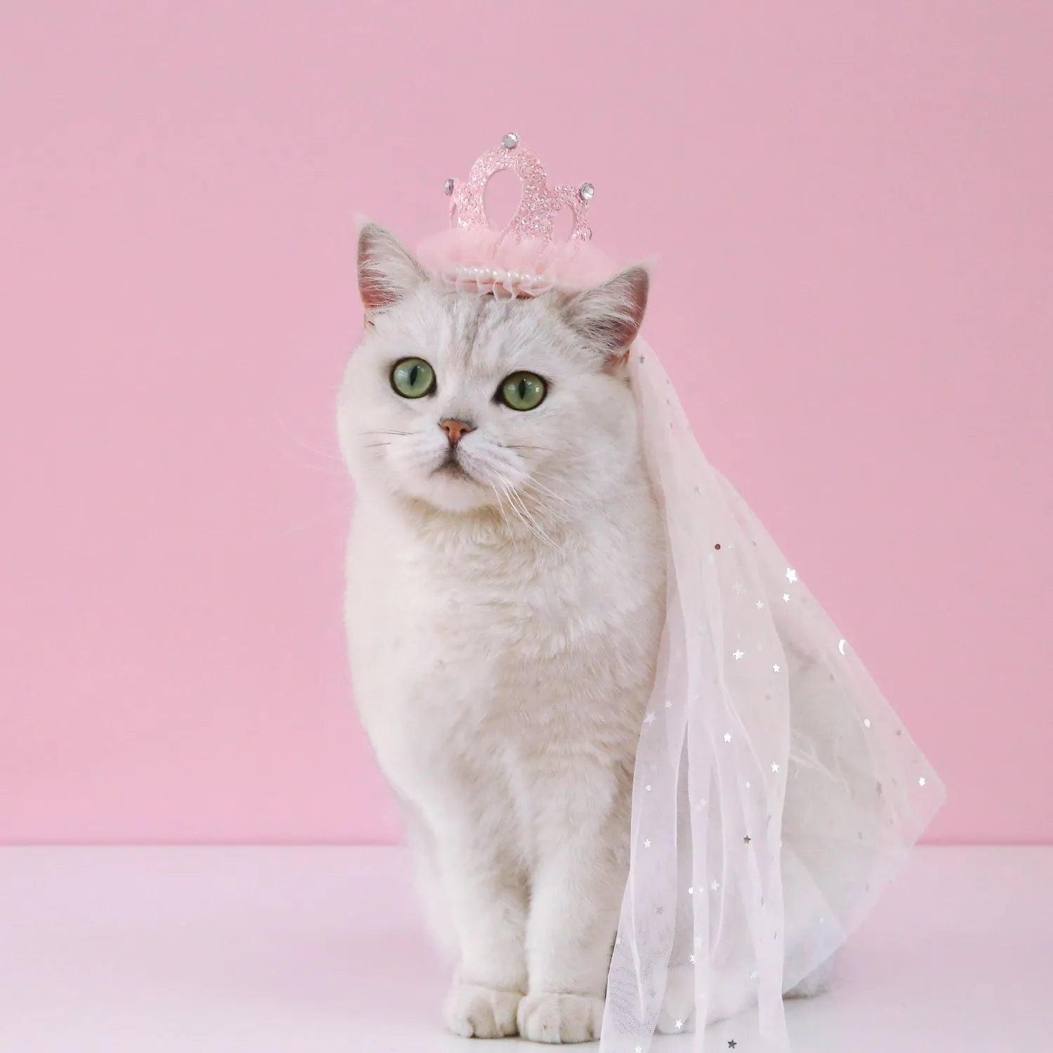 Beige and pink princess crown headdress with veil for cats on a plain background.