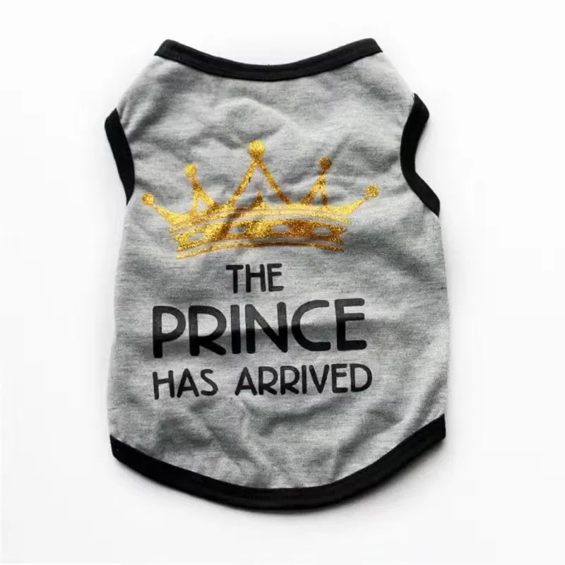 Cotton puppy vest for summer in multiple colour options on a small dog