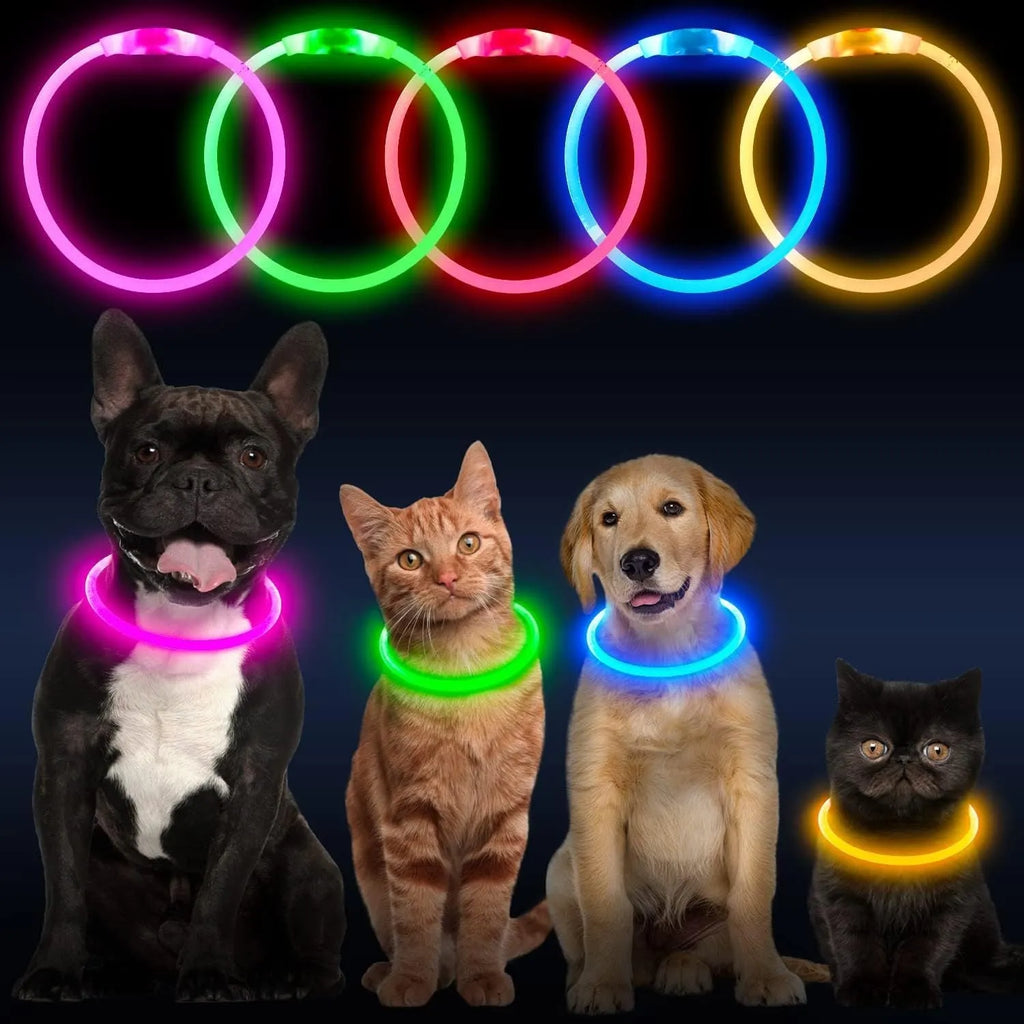 Blue USB-rechargeable LED dog collar glowing on a dog's neck, showing the 70cm adjustable TPU strap.