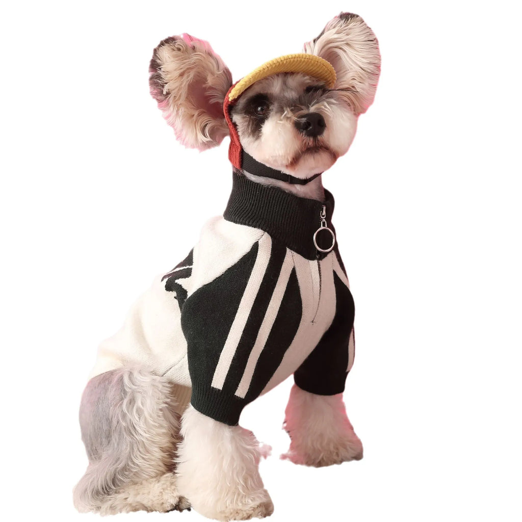 Red wool sports cardigan for dogs on mannequin showing casual pet clothing