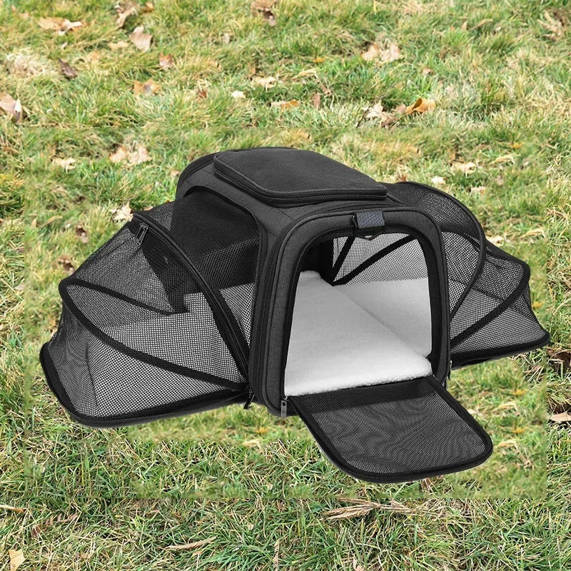 Cat carrier bag made from 600D cation fabric in small and large sizes with multiple colour trim options