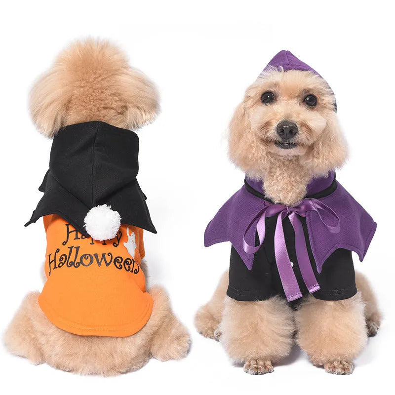 Black and orange Halloween pumpkin dog sweater and shawl set on model dog