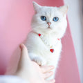Pet cat beads love necklace in red, pink or black bead colourway, ABS bead and alloy, sizes S M L