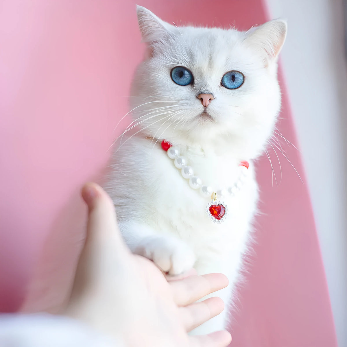 Pet cat beads love necklace in red, pink or black bead colourway, ABS bead and alloy, sizes S M L