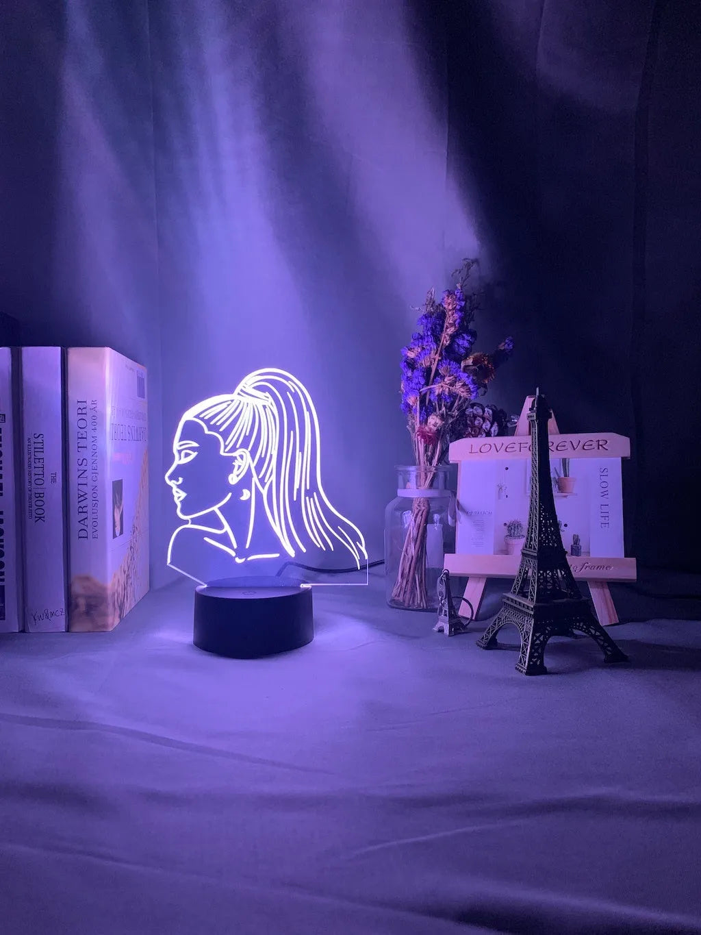 3D acrylic LED night light in European style showing dimensional shade design