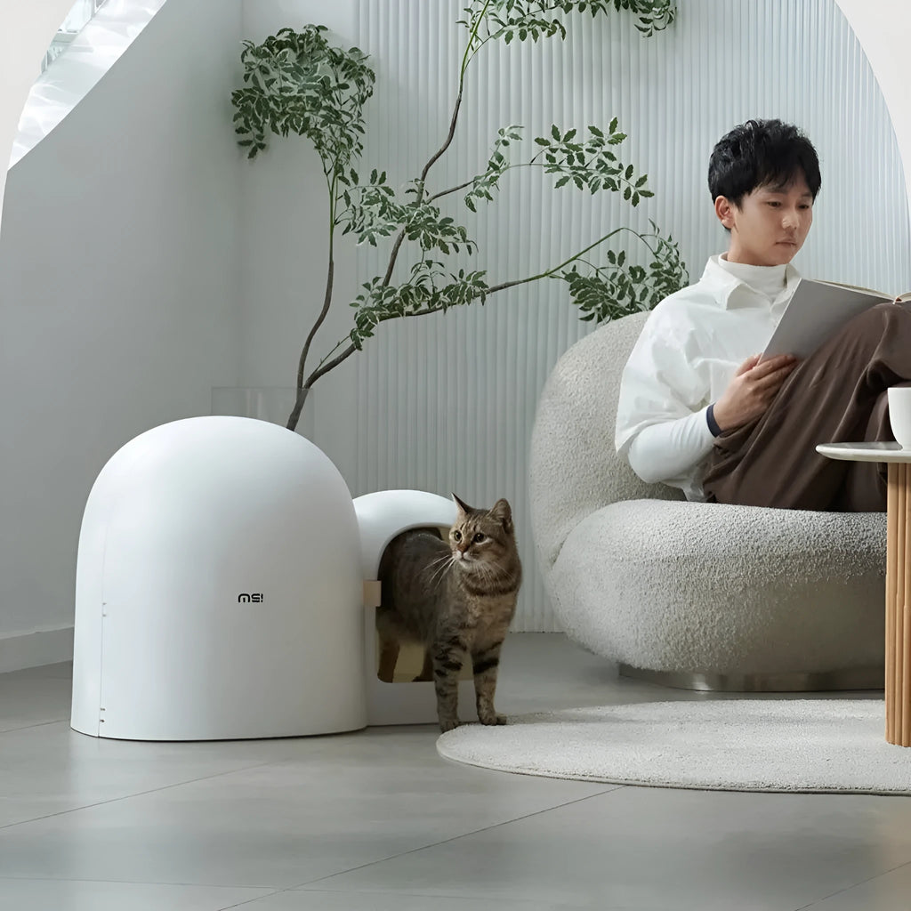 Fully enclosed cat litter box in Aurora White colour with oversized dimensions