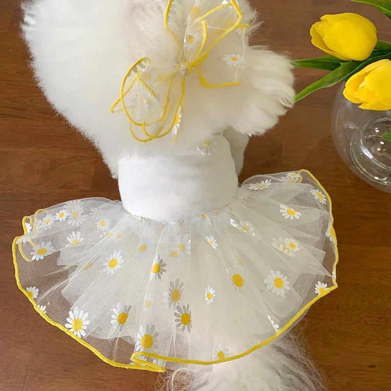 Yellow daisy patterned polyester dog summer clothes shown in size options from XS to XL