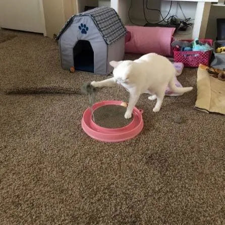 Blue cat scratching post with interactive ball track and replaceable cardboard centre pad